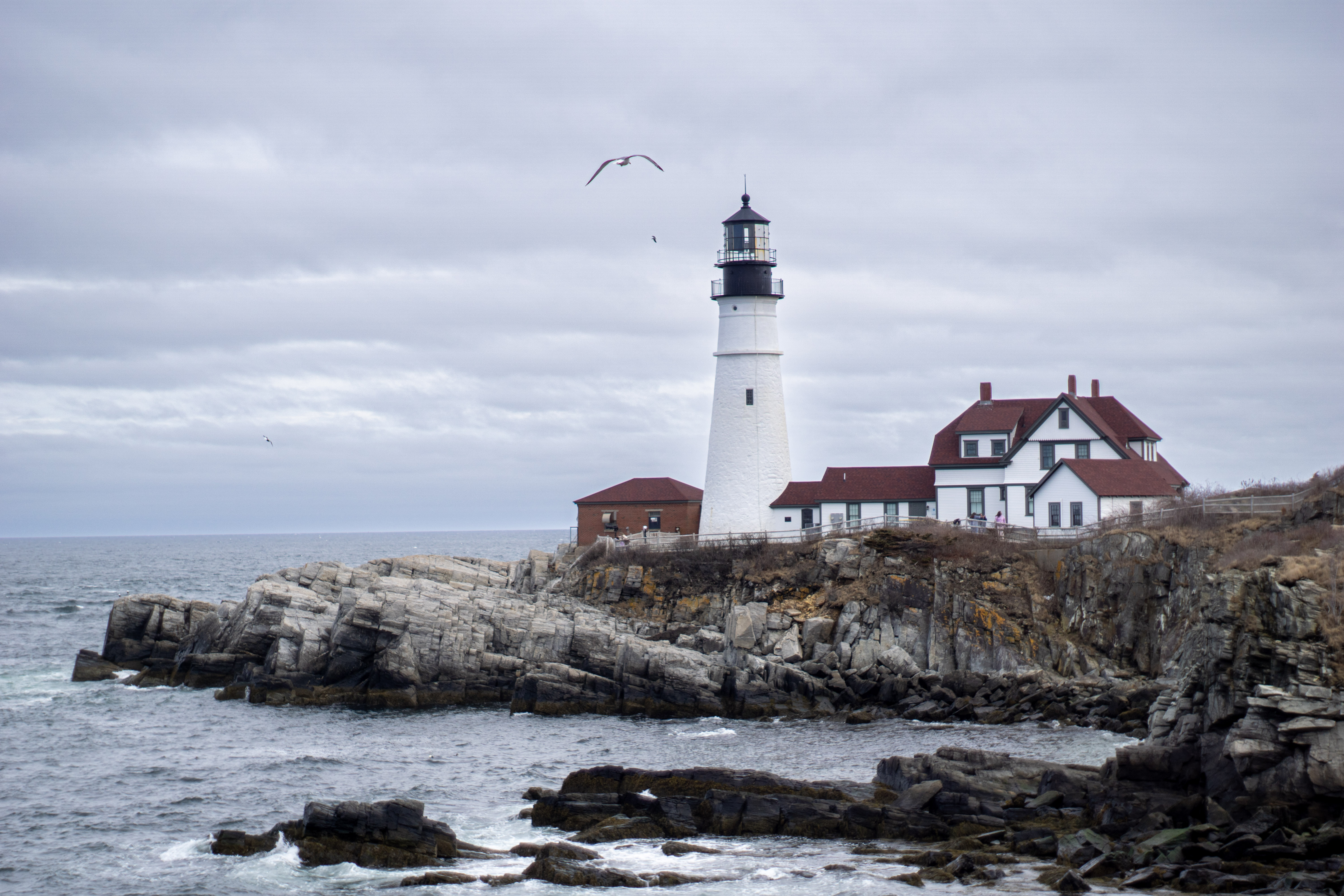 Wide view of a forested Maine mountain rising behind an open field under a bright blue sky.