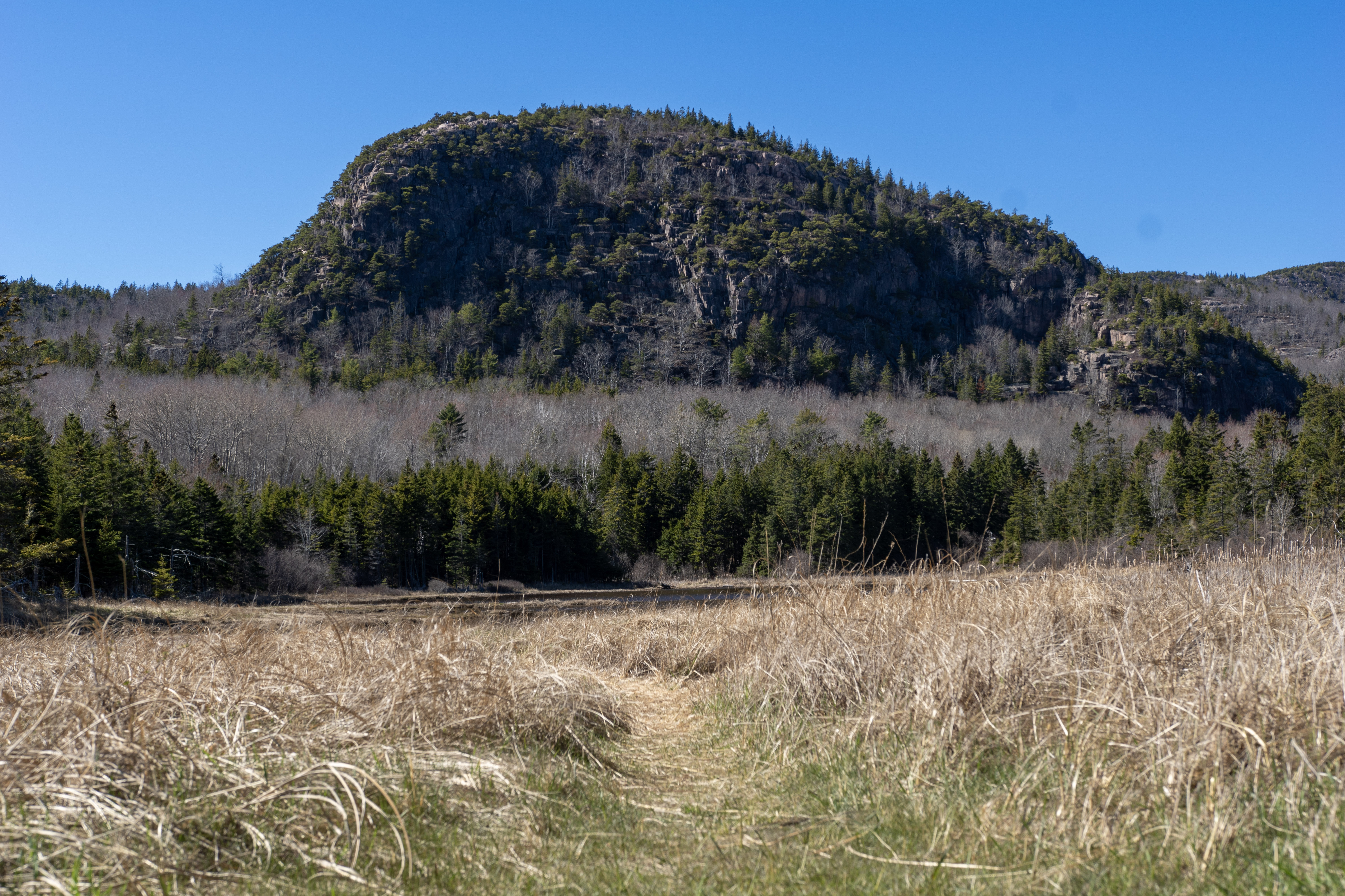 Child walking along a working Maine shoreline with pilings and gentle surf in the background.